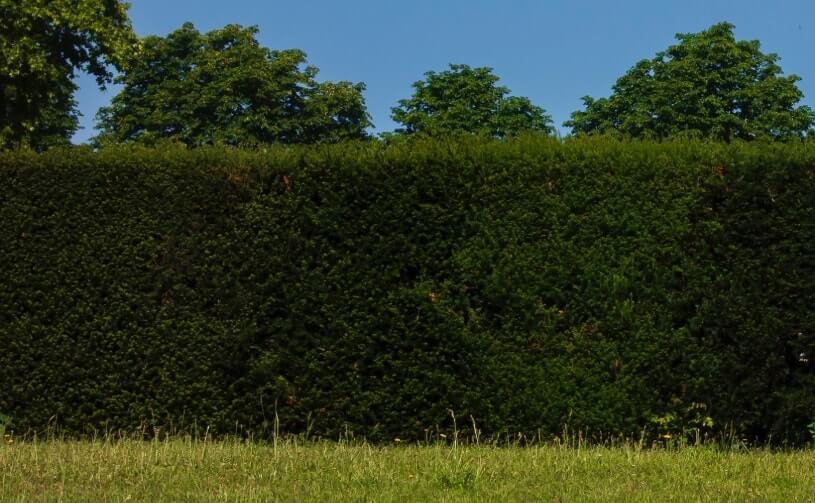 alternatieven voor de houten schutting