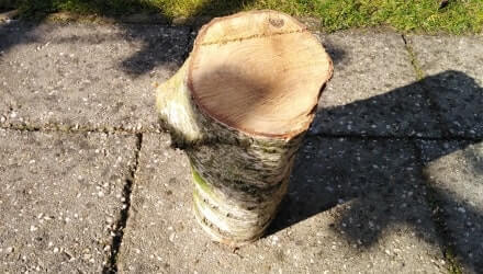 Blok hout van 40 centimeter lengte