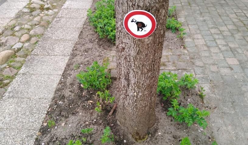bord verboden te poepen voor honden