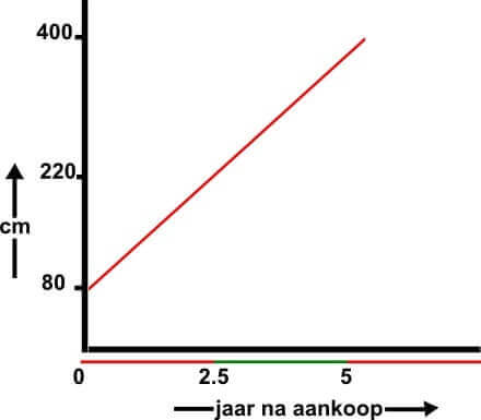 Groeicurve Fargesia Robusta Campbell