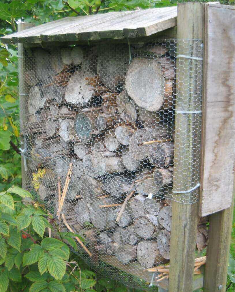 groot insectenhotel