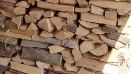 Langwerpige, dunne stukken hout