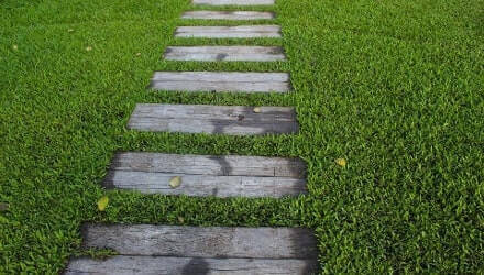 Pad van hout