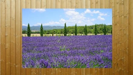 Tuinposter