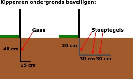 Veiligheid kippen