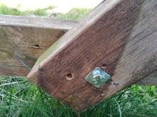 Zeskanthoutschroef met vierkante sluitring